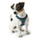 Arnés para Perro Hunter Hilo-Comfort Azul Talla S (42-48 cm)