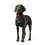 Collar para Perro Hunter Aalborg Rojo XS 24-29 cm