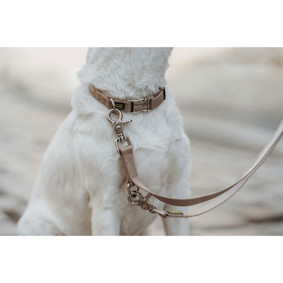 Collar para Perro Hunter Inari Beige XL 45-65 cm