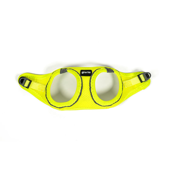 Arnés para Perro Gloria Trek Star 27-28 cm 31-34,6 cm Amarillo XS