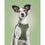 Arnés para Perro Gloria 24,5-26 cm Verde 18-20 cm