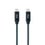 Cable USB C NANOCABLE 10.01.4301-COMB 1 m