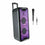 Altavoz Bluetooth Inalámbrico NGS WILD RAVE 2 Negro 300 W