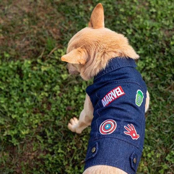 Chaqueta para Perro Marvel Azul M