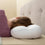 Almohada Nube 3D Antiarrugas Wrileep InnovaGoods (Reacondicionado B)